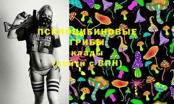 дурь Абаза