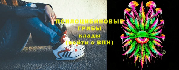 дживик Алексин